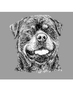 Vet Bed Rottweiler Kopf - Gummi Anti Rücke