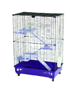 Chinchillakooi SAMO 82 Trend Marchioro