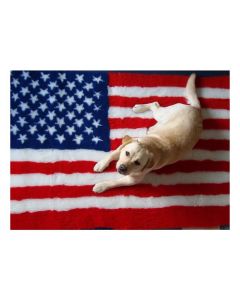 Vet Bed Flagge USA – Anti Rutsch Hundematte